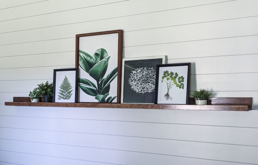 Picture-ledge-on-shiplap-wall-with-botanical-prints