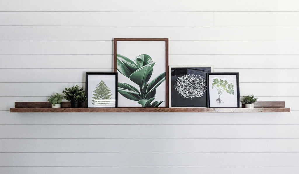 Picture-ledge-on-shiplap-wall-with-botanical-prints