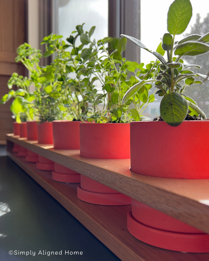 A herb planter on a kitchen countertop. 