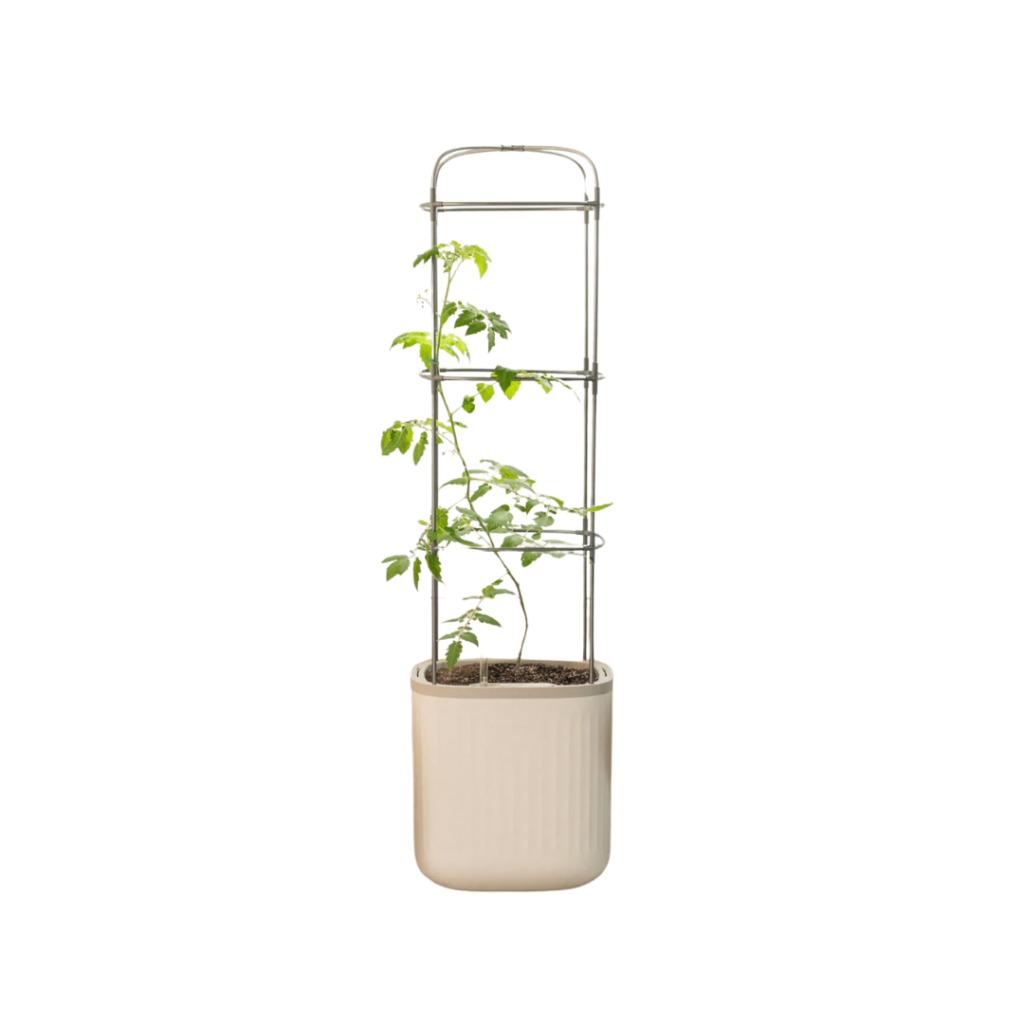 Self Watering Trellis Planter