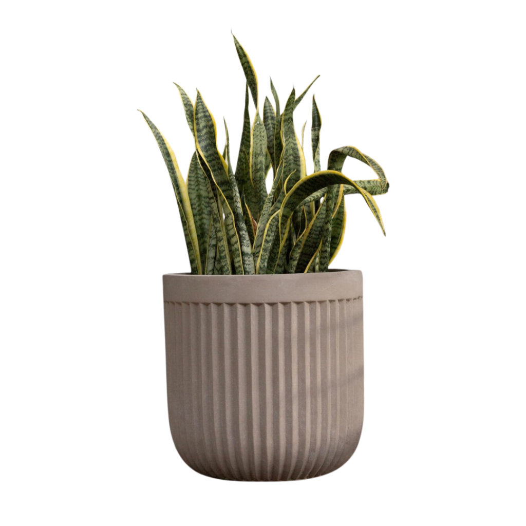 Concrete Fluted Planter