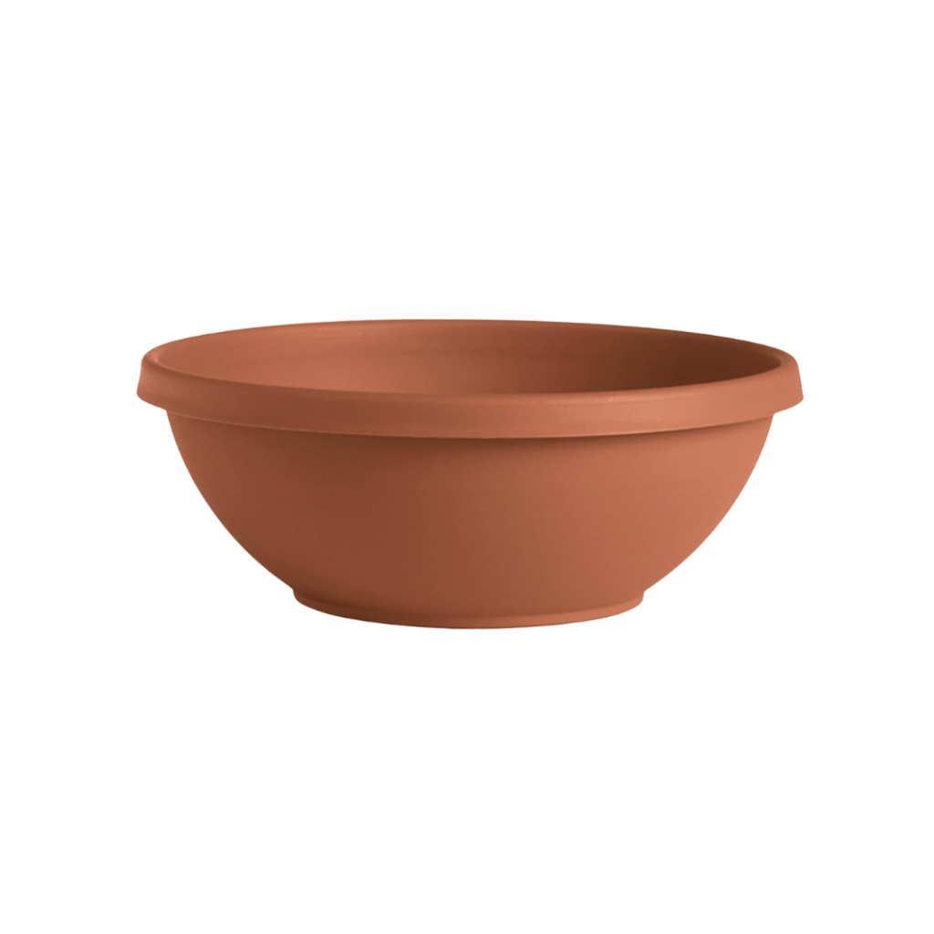 Small Terra Cotta Table Top Planter