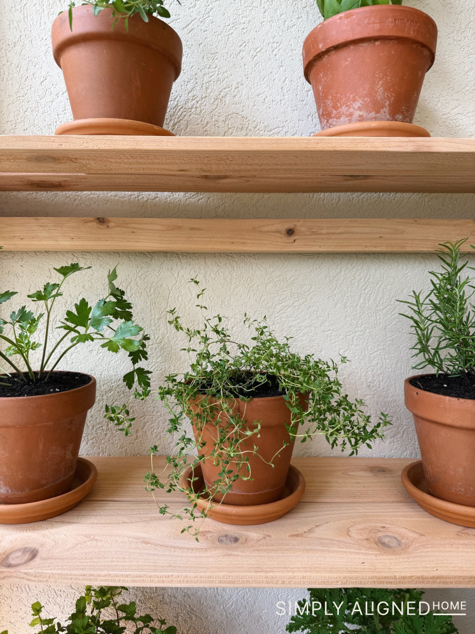 Simply-Aligned-Home-Plant-Stand