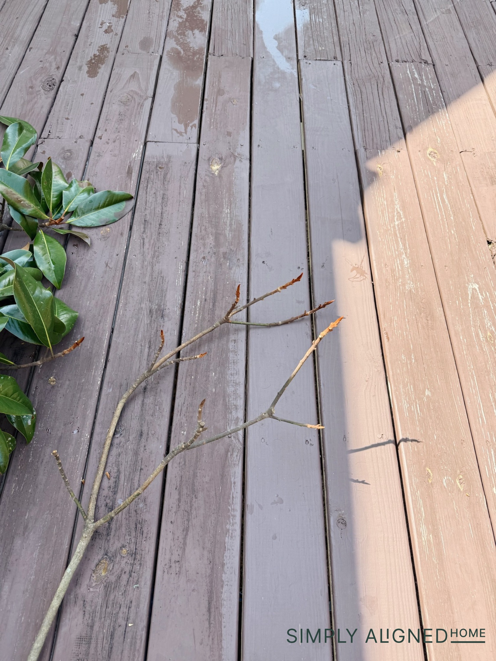 simply-aligned-home-faux-magnolia-tree